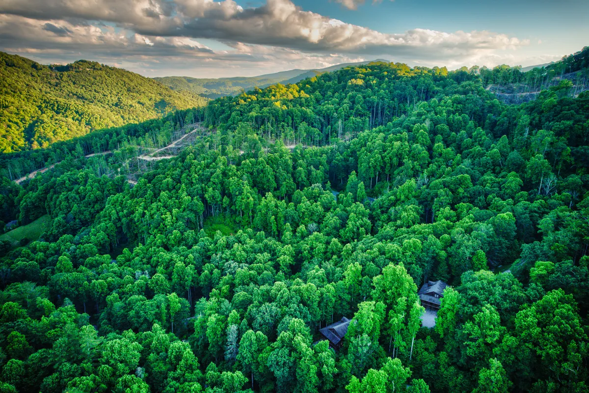 A panoramic view across dense green trees, rolling hills, and distant mountains, with a hidden cabin nestled among the foliage. The scene captures the natural beauty of the Blue Ridge region, highlighting opportunities for hiking, photography, and quiet reflection.