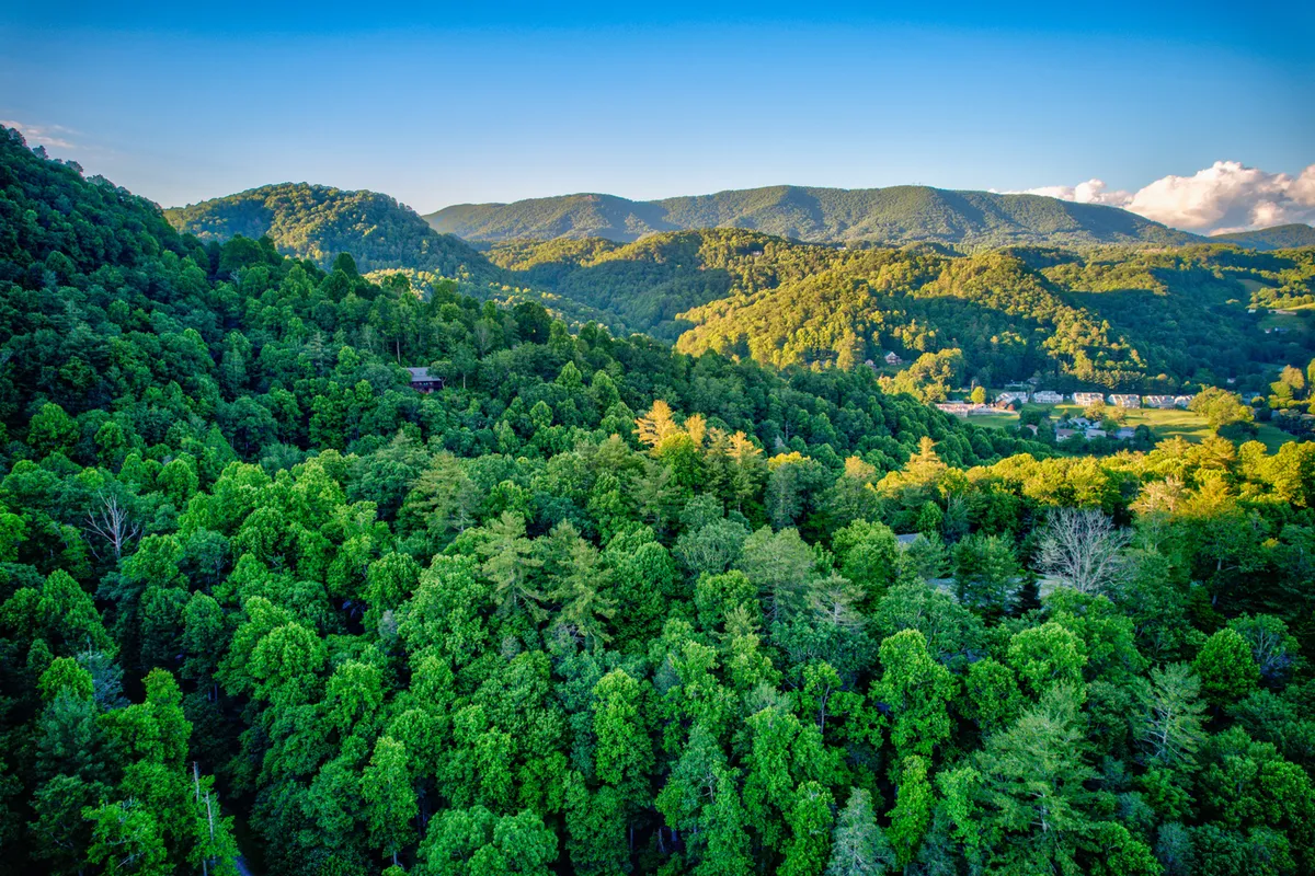 This image provides a panoramic view of lush green trees, distant mountains, and a clear blue sky—capturing the natural beauty and outdoor adventure possibilities of the Boone, Blowing Rock, and Valle Crucis area.